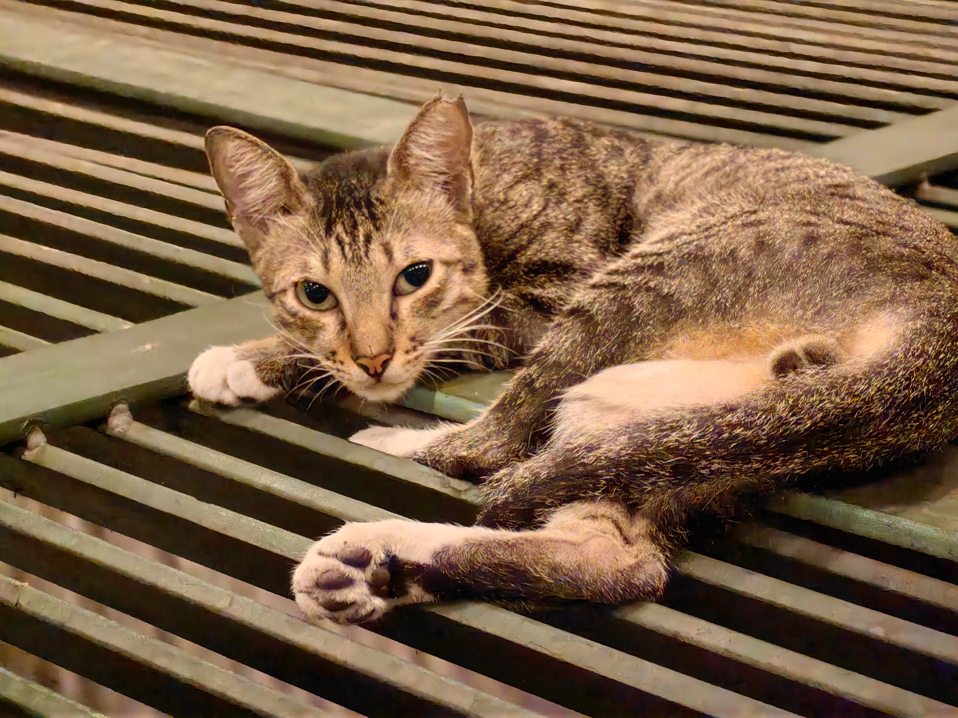 Velvet Greens philosophy